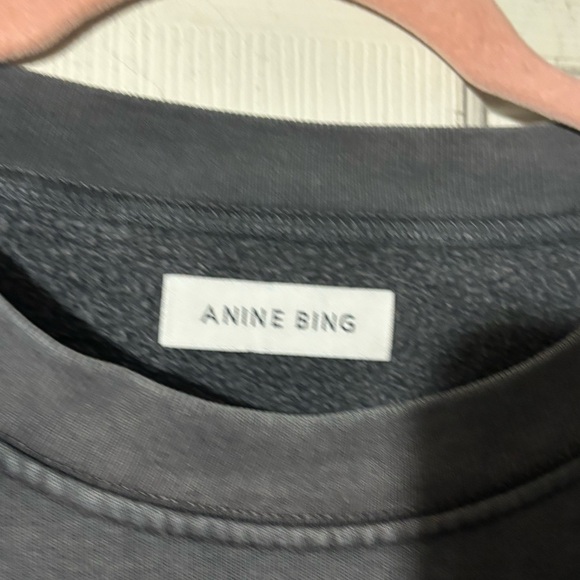 Anine Bing Charcoal Gray Tiger Graphic Sweatshirt with Blue Logo - Picture 5 of 6